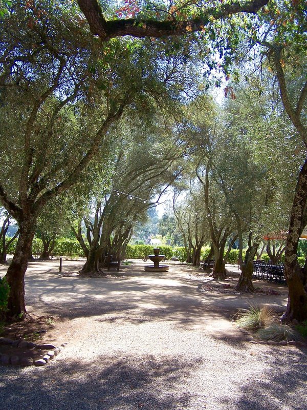 La magie de Noël pour vos enfants : l'héritage enchanté du lutin farceur