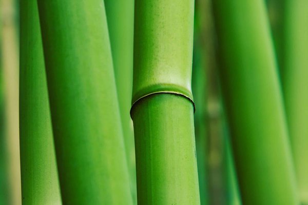 conseils pour créer un espace de détente zen dans votre maison